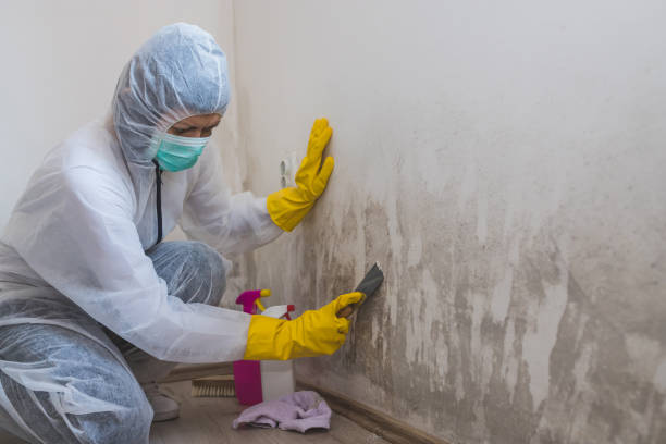 Best HVAC Mold Remediation in Franklin Center, NJ