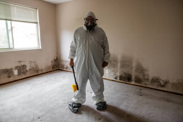 Best Mold Remediation for Specific Building Types in Franklin Center, NJ